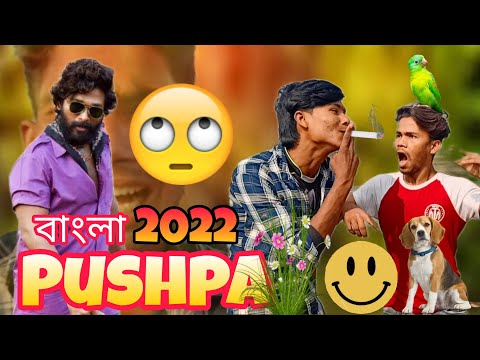 Comedy Video 2022 | বাংলা কমেডি ভিডিও | Pushpa Comedy | Bangla Funny Video 2022 || Tiger Studio 5