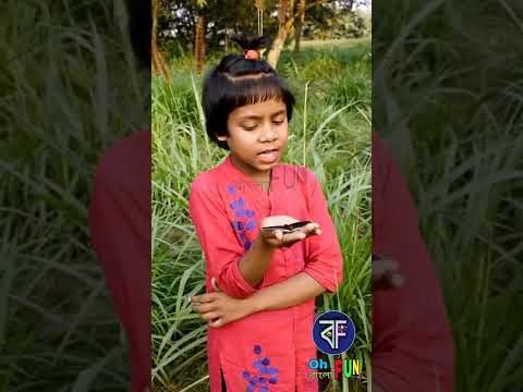 শর্ট কমেডি প্রজাপতি প্রজাপতি পাখনা মেলো || Bangla funny short video.