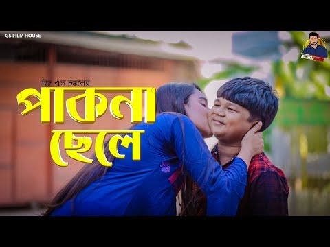 পাকনা ছেলে | Pakna Chele | Bangla Funny Video 2019 | Shariful Islam | GS Chanchal