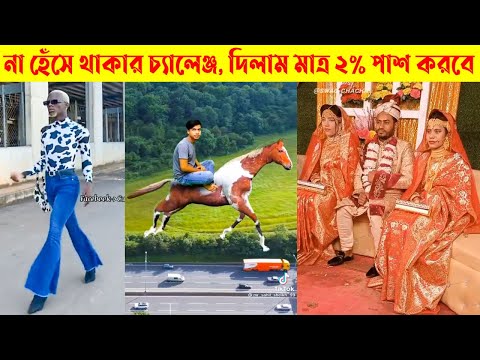 অস্থির বাঙ্গালি😂 Part 16 | Bangla Funny Video | তদন্ত পিডিয়া | Fact bangla