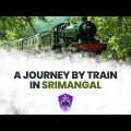 A Journey By Train in Srimangal – The Tea Capital Of Bangladesh! || Travel Vlog || 🌍🌸💜