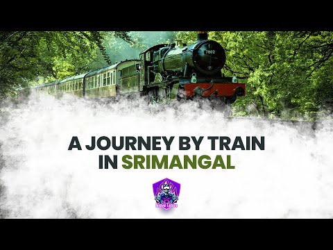 A Journey By Train in Srimangal – The Tea Capital Of Bangladesh! || Travel Vlog || 🌍🌸💜