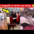 অস্থির প্রাণী 😂😂 | Bangla funny video | mayajaal | মায়াজাল | Funny facts | natok | অস্থির বাঙালি