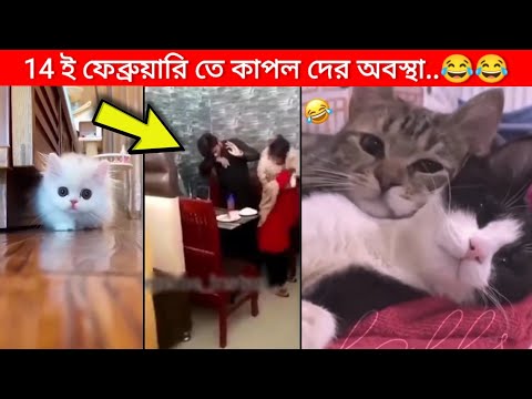 অস্থির প্রাণী 😂😂 | Bangla funny video | mayajaal | মায়াজাল | Funny facts | natok | অস্থির বাঙালি