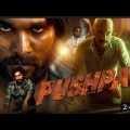 Pushpa: The Rise Full Movie In Hindi Dubbed | Allu Arjun | Rashmika | Sunil | Fahad | Review & Facts