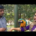 Safari Kingdom Bangladesh | Travel Bangla 24 | Macaw Bird At Safari Park