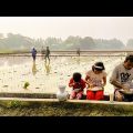 খাওয়া-দাওয়া এখন চকেই করতে হয় | Bangladeshi simple village life vlog