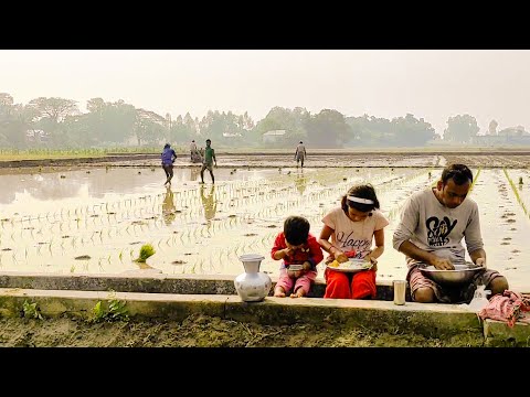 খাওয়া-দাওয়া এখন চকেই করতে হয় | Bangladeshi simple village life vlog