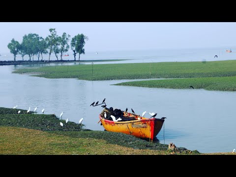 Guliakhali – A Beautiful Green Sea Beach Side Village  | Travel Bangladesh