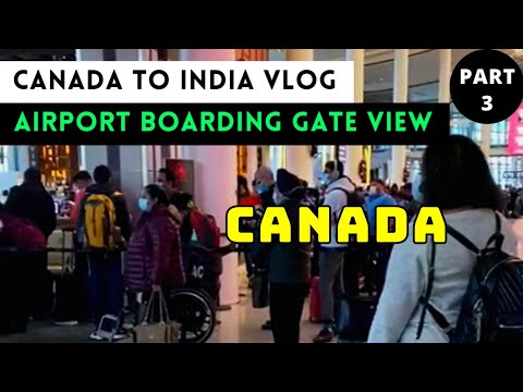 Canada To India Travel Vlog Part 3 | Boarding Gate Of Pearson Airport | Air India Toronto To Delhi