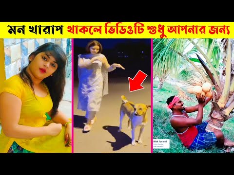 অস্থির বাঙ্গালি😂 Part 17 | Bangla Funny Video | তদন্ত পিডিয়া | Fact bangla