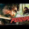 Pushpa: The Rise Full Movie In Hindi Dubbed | Allu Arjun | Rashmika | Fahadh