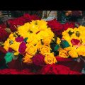 বসন্ত এসে গেছে🥀🌸🌼 #bangladesh #beautiful #nature #subscribe #flowers #100k #dhaka #bd #travel #1m