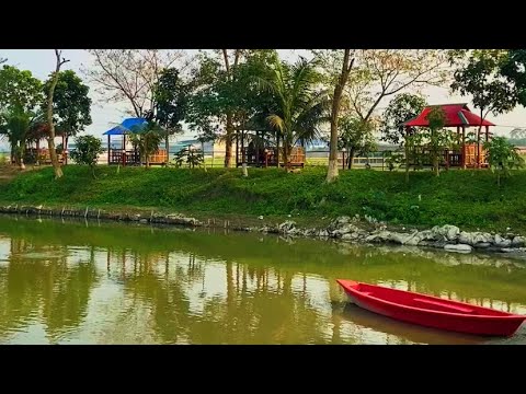 একটি সুন্দর বিকেল💚💚 #bangladesh #beautiful #nature #subscribe #travel #travelvlog #100k #viral #1m