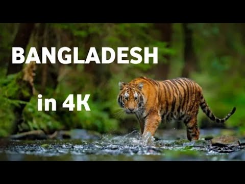 BEAUTIFUL BANGLADESH 4K Video 2022 || Raw Beauty ||  Nazmul Hasan Rifad