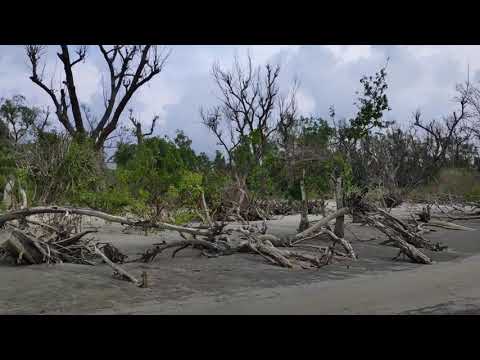 #Sea_Beach , Kuakata, South of Bangladesh. Excellent travel by motorbike.