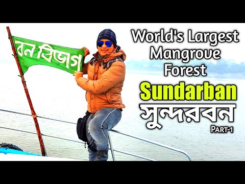 সুন্দরবন ভ্রমন | Travel Sundarban | বিশ্বের বৃহত্তম ম্যানগ্ৰোব বন | World's Largest Mangrove Forest