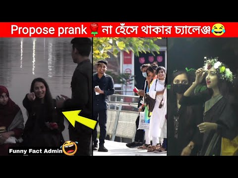 14 February propose prank😂🥀 || Bangla funny video | prank video | funny facts | mayajaal | মায়াজাল