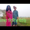 মিষ্টির হাঁড়ি ভেঙে গেলো | Bangla Funny Video | Bangla Funny10| Palli gram | SWAPNA TV | Funny Tv |