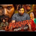 Pushpa khadka movie allu arjun hindi dubbed || pushpa full movie hindi dubbed #pushpa#pushpamovie