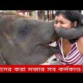 প্রাণীদের করা মজার কর্মকাণ্ড |funny animals part 3 | Bangla funny video | TPT Hasir hat