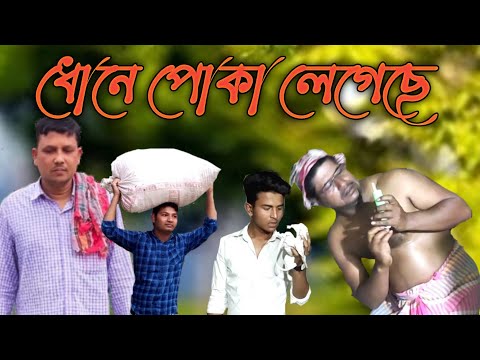 ধোনে পোকা লেগেছে || Pagla Doctor || Bangla Least Entertainment Funny Video 2022 || Sabina Alkap ||