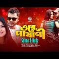 Ore Pashani | ওরে পাষানী | Salma |  Hafiz Khan | Bangla Music Video | Bangla  Song 2022