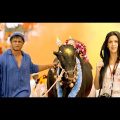 Lohe Ki Zanjeer South Hindi Dubbed Movie Full Love Story- Dniya Vijay, Priyamani