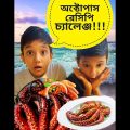 অক্টোপাস রান্না | অক্টোপাস রেসিপি । Octopus Recipe Bangladesh | Funny Recipe | Funny Video Bangla