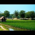 A remote village tour in Bangladesh