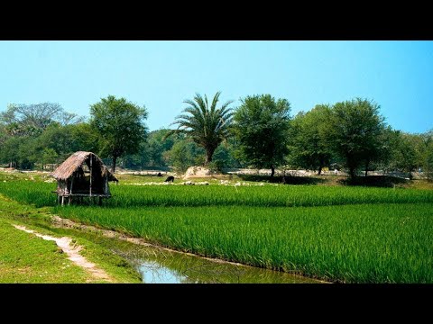 A remote village tour in Bangladesh