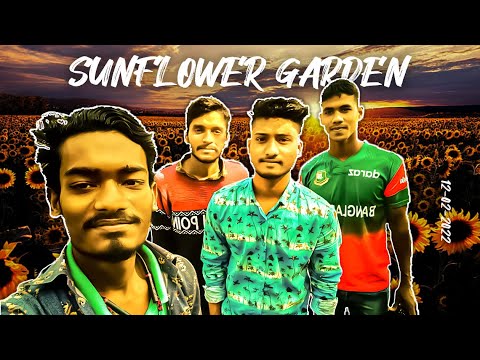 সূর্যমুখীফুল বাগান || Sunflower Garden in Bangladesh || Day Tour 2022