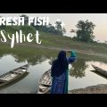 Bangladeshi shopping Vlog | How to buy Fresh Fish in Sylhet Bangladesh | Travel vlog 2022