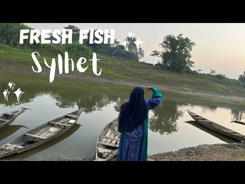 Bangladeshi shopping Vlog | How to buy Fresh Fish in Sylhet Bangladesh | Travel vlog 2022