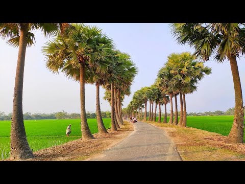 The Villages of Bangladesh Are Very Beautiful – No Copyright Bangla Music