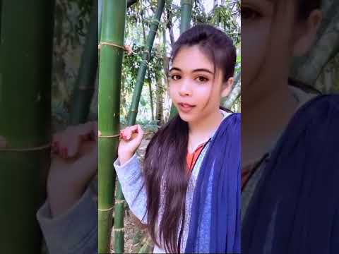 bangla funny video #shorts