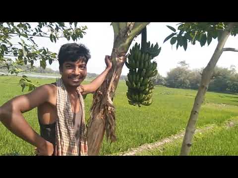 #TRAVEL #TOURISM #HISTORY THE RURAL FOLKLORE AND THE HISTORY OF BANGLADESH.