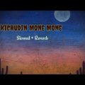 Kichudin Mone Mone Slowed + Reverb ( Lofi ) // Bangla Lofi Song // Bangla Music Lover //