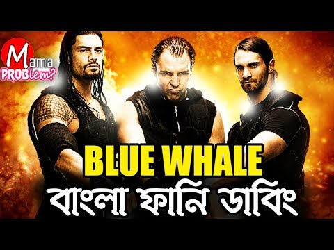 Blue Doyel Bangla Funny Dubbing|Mama Problem|Bangla funny video