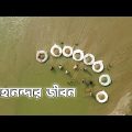 Mahananda River | Bangladesh | Beautiful Bangladesh | BD Drone View |Travel Around