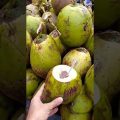 Coconut Water | Street Food | Dhaka Bangladesh | #foodvlog #travelvlog