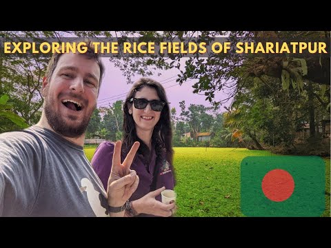 Barefoot In The Rice Fields of Bangladesh, Shariatpur 🇧🇩