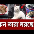 পোষা প্রাণীর অপচিকিৎসা ; নজর দেবে কে ? | Ghotonar Ontorale | EP 33 | Crime Investigation | Mytv Show