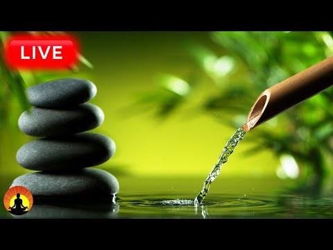 🔴 Relaxing Music 24/7, Healing Music, Meditation Music, Spa Music, Sleep, Zen, Study Music, Yoga