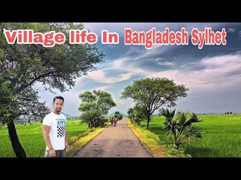 Village Life In Bangladesh | Simple Village Vlog – Sylhet Village Vlog @Travel Sylhet bd#sylhetcity