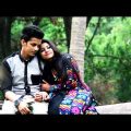 Bangla Music Video- Vabnara mele dana By Tanvir