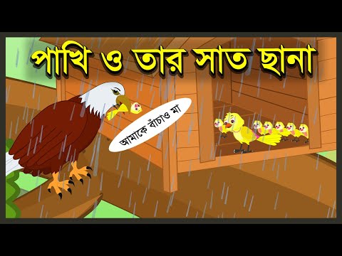 পাখি ও তার সাত ছানা | Tuntunir Chana Pona | Kak O Chorui | Bangla Cartoon | Thakurmar | বৃষ্টির গল্প