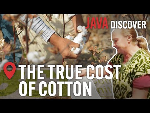 The True Cost of Cotton: How the 'Ethical' Cotton Industry is a Barbaric Cash Crop | Documentary