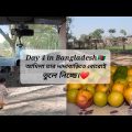 Day 4 | Going Amilahs Dadas Bari | Long Drive | Beautiful scenery of Bangladesh | Travel Vlog | ALK!