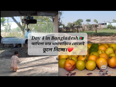 Day 4 | Going Amilahs Dadas Bari | Long Drive | Beautiful scenery of Bangladesh | Travel Vlog | ALK!